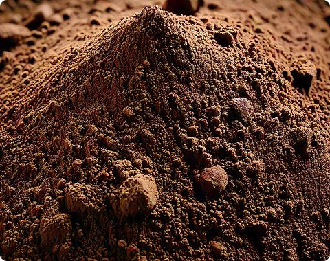 پودر فیبر خرما — Date Fibre Powder