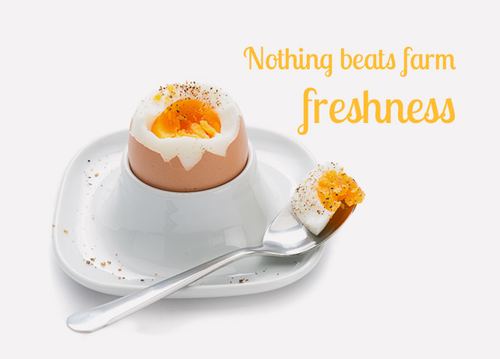 تخم‌مرغ جنان — Jenan Eggs