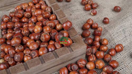 فندق خندان — Roasted Hazelnut (in shell)
