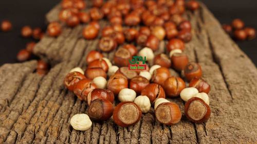 مغز فندق خام — Raw Hazelnut Kernel