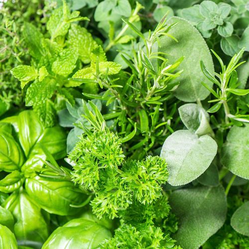 سبزیجات منجمد — Frozen Herbs