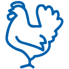 مرغ بدون آنتی‌بیوتیک — Antibiotic-free Chicken