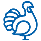 بوقلمون — Turkey